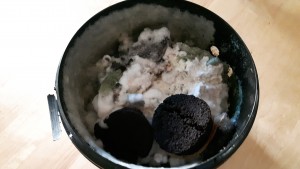Osterivinokasta ruokitaan kahvilla. Kuvan kasvusto on kontaminoitunut, ja valkean vinokasrihmaston seassa on vihreää hometta. Kuva Hanna Kaisa Hellsten. 